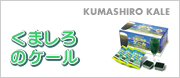 くましろのケール